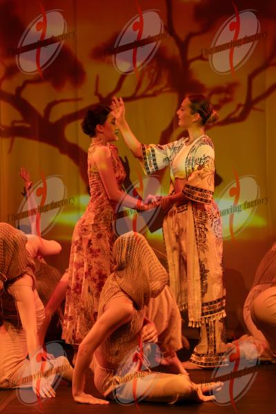 SHOW_00869.jpg